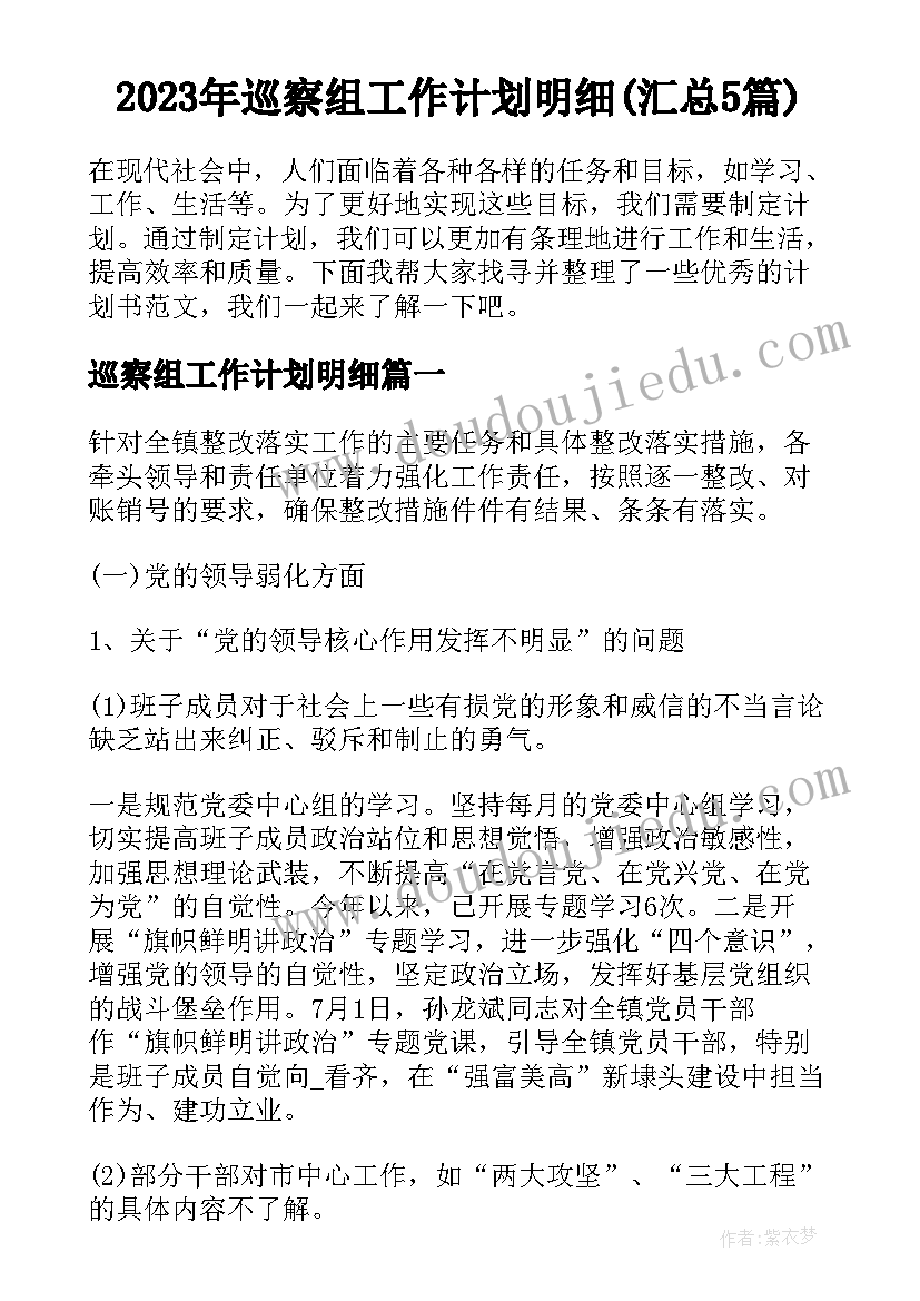 2023年巡察组工作计划明细(汇总5篇)