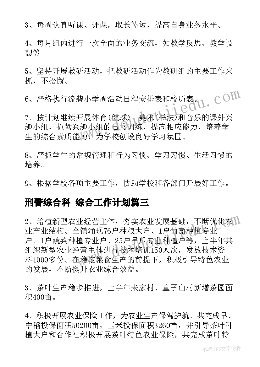 2023年刑警综合科 综合工作计划(优秀7篇)