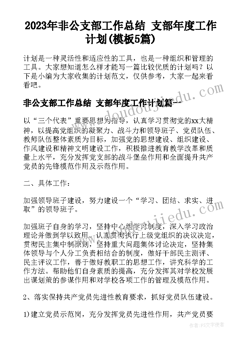 2023年非公支部工作总结 支部年度工作计划(模板5篇)