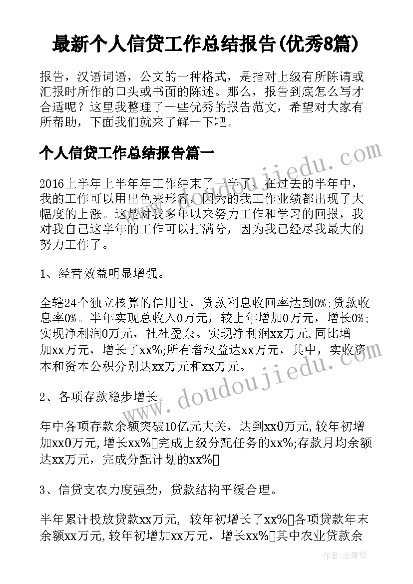 最新个人信贷工作总结报告(优秀8篇)