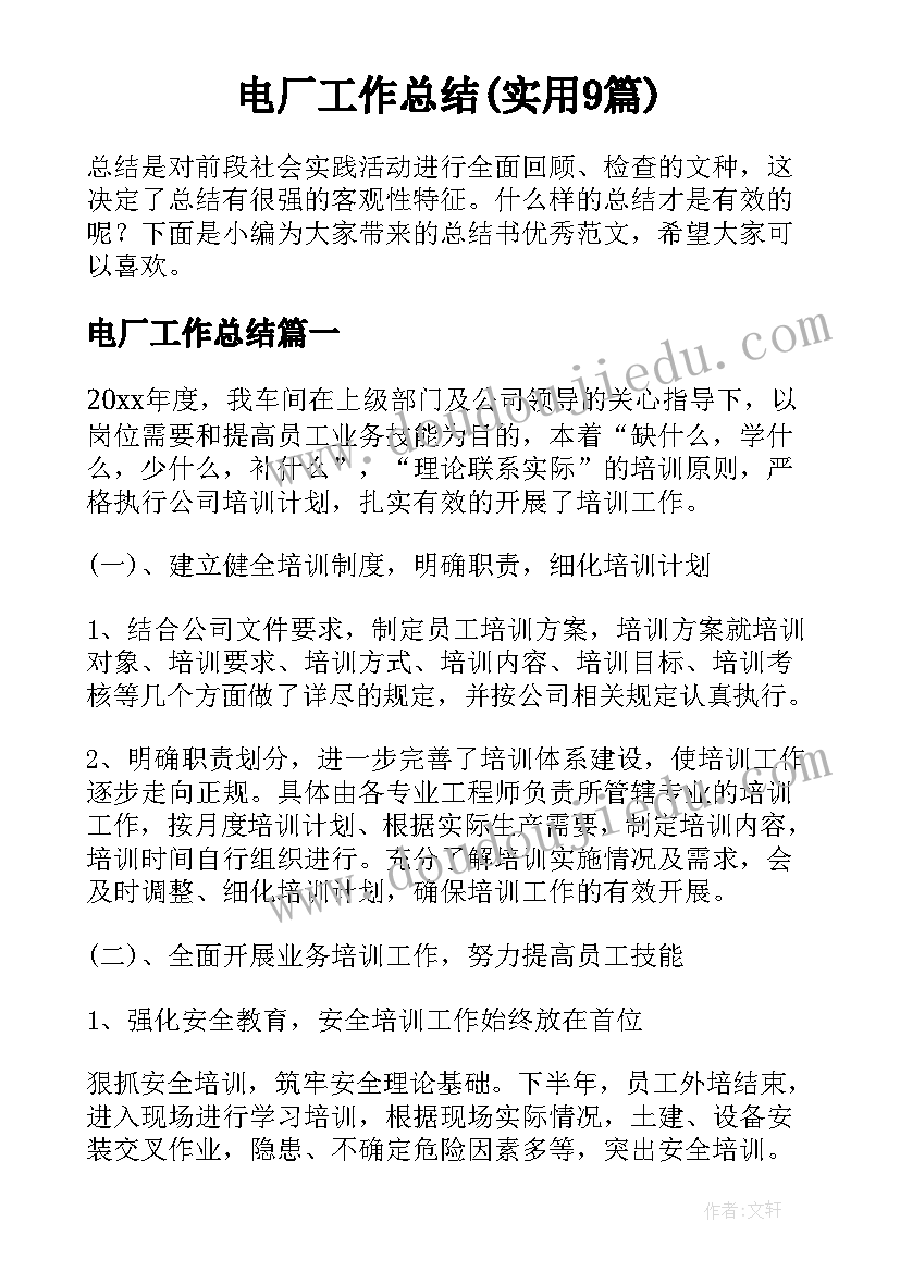 电厂工作总结(实用9篇)