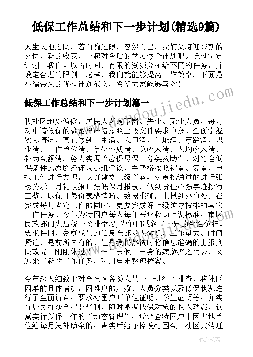 低保工作总结和下一步计划(精选9篇)