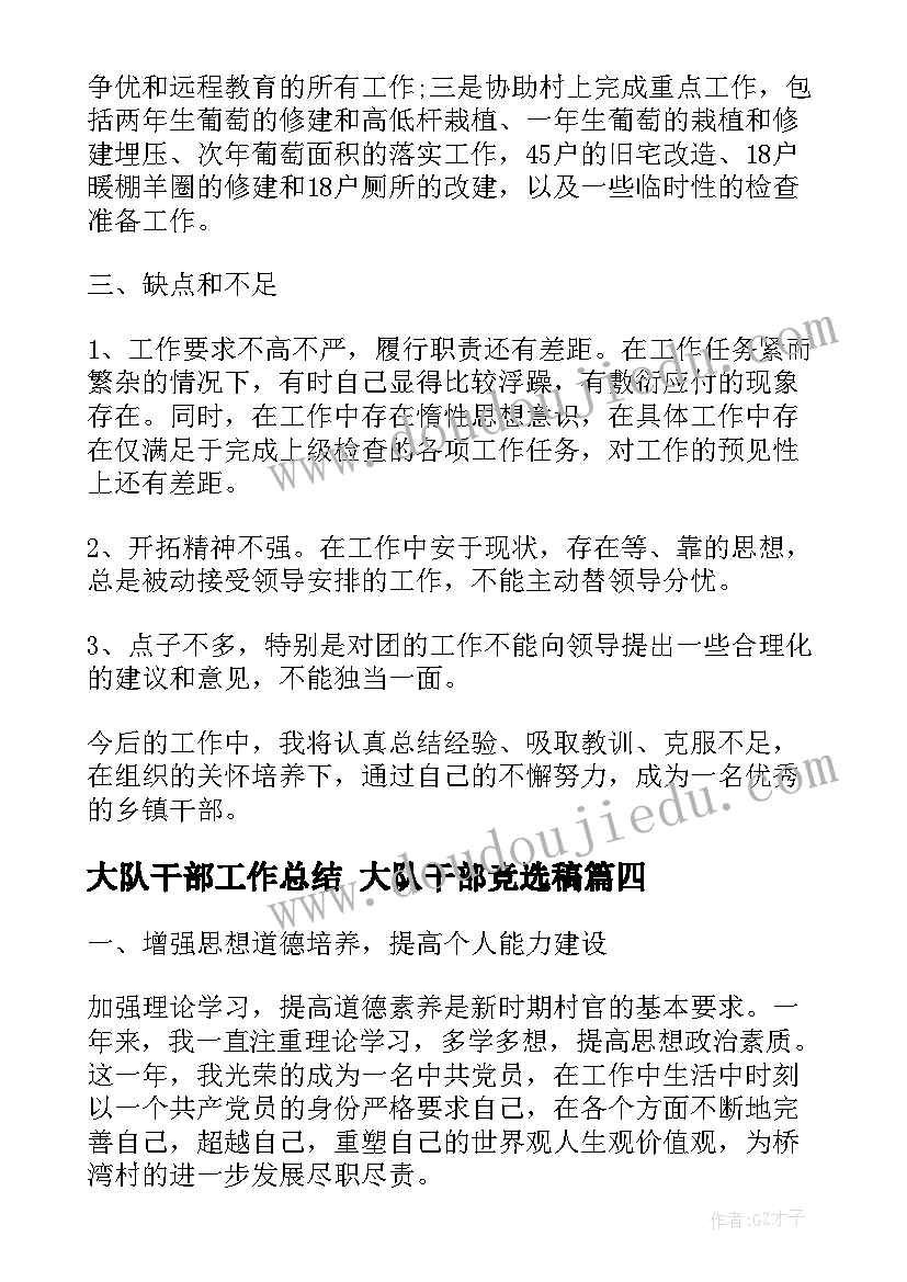 大队干部工作总结 大队干部竞选稿(优质5篇)