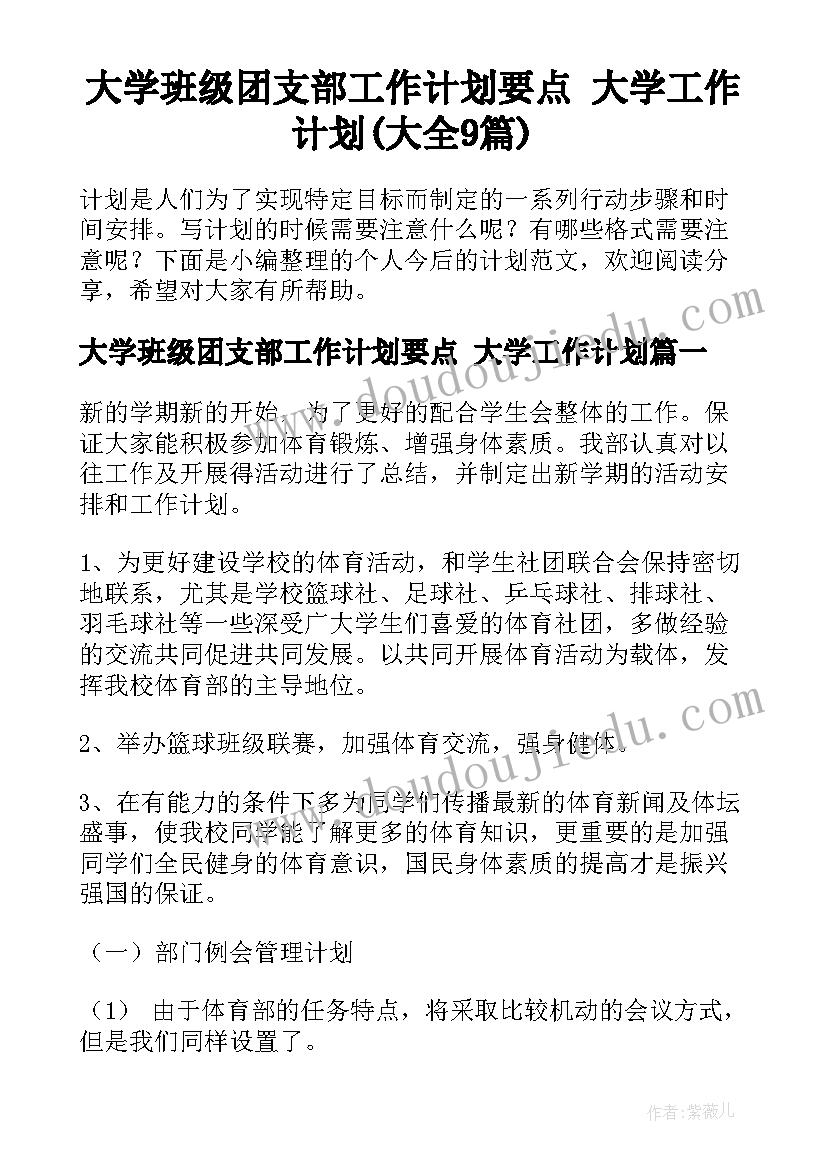 大学班级团支部工作计划要点 大学工作计划(大全9篇)