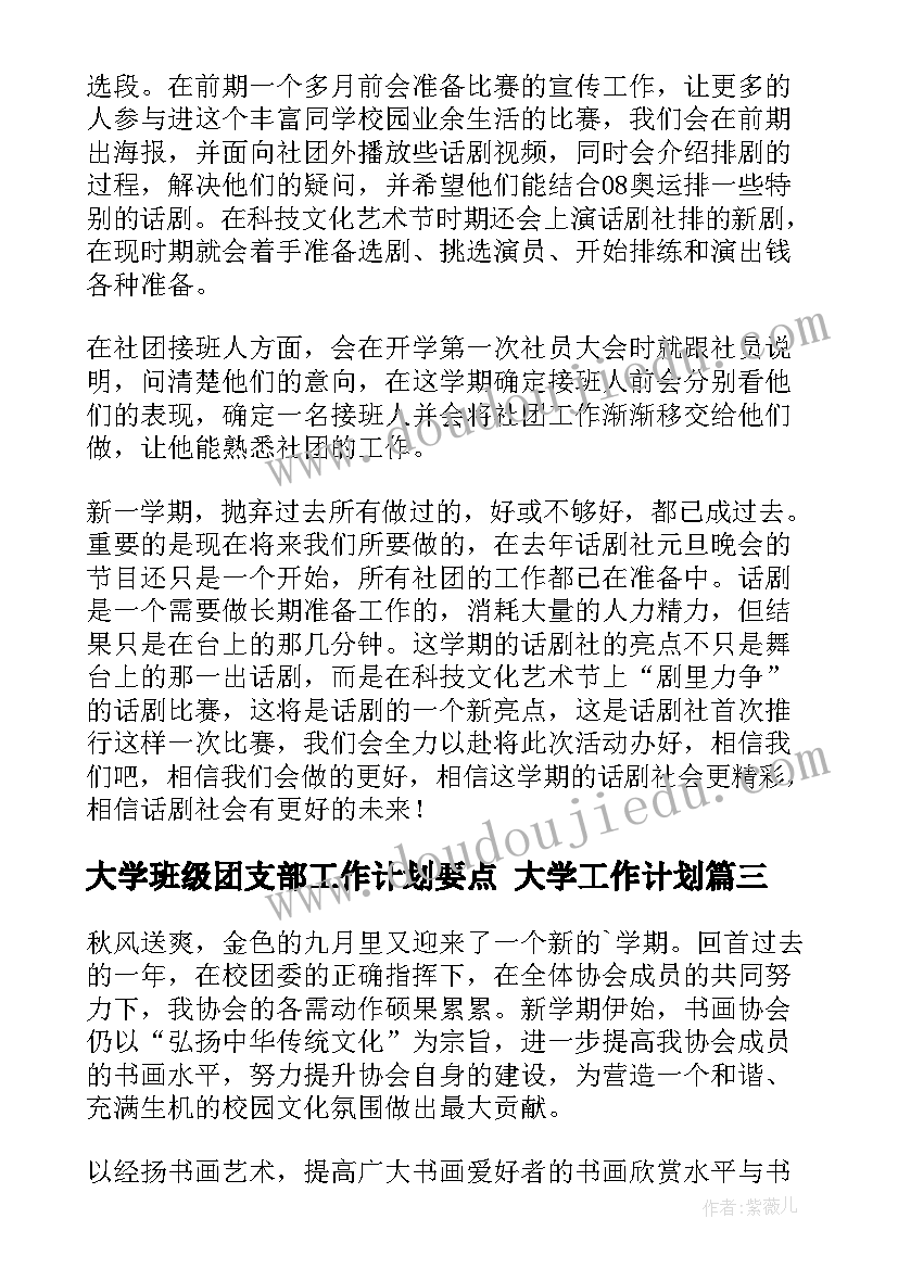 大学班级团支部工作计划要点 大学工作计划(大全9篇)