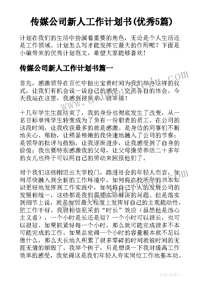 传媒公司新人工作计划书(优秀5篇)