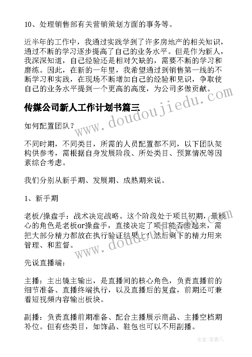 传媒公司新人工作计划书(优秀5篇)