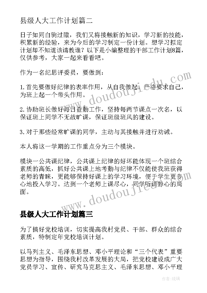 最新县级人大工作计划(优质8篇)