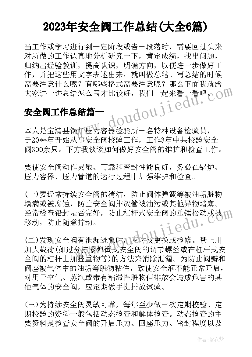 2023年安全阀工作总结(大全6篇)