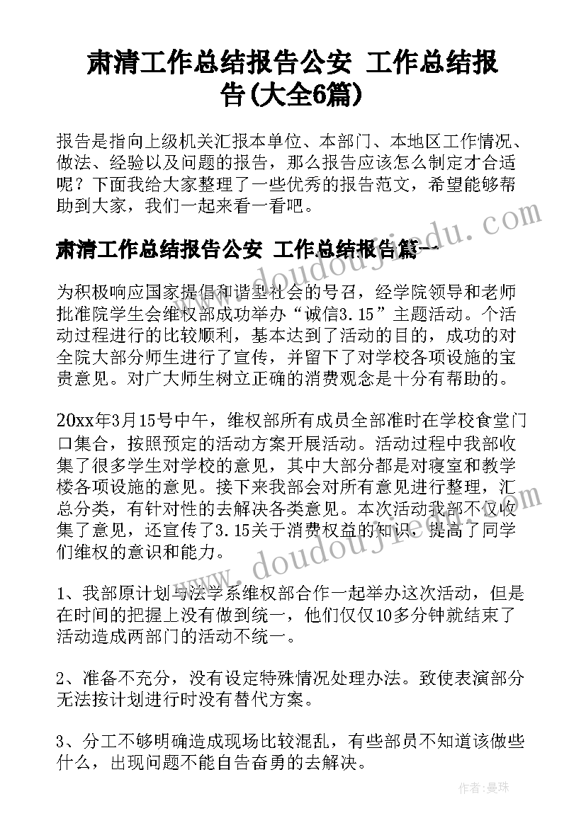 肃清工作总结报告公安 工作总结报告(大全6篇)