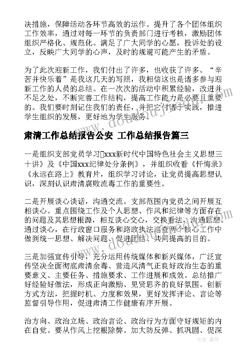 肃清工作总结报告公安 工作总结报告(大全6篇)