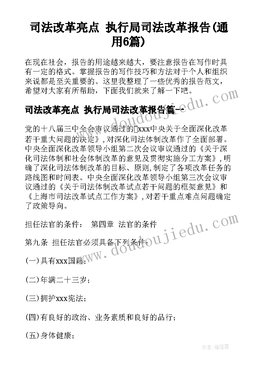 司法改革亮点 执行局司法改革报告(通用6篇)