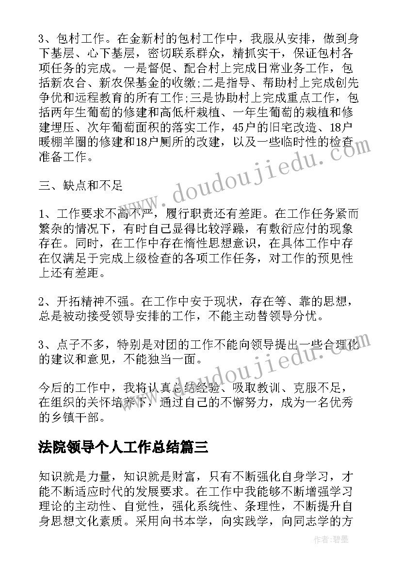 2023年法院领导个人工作总结(优质7篇)