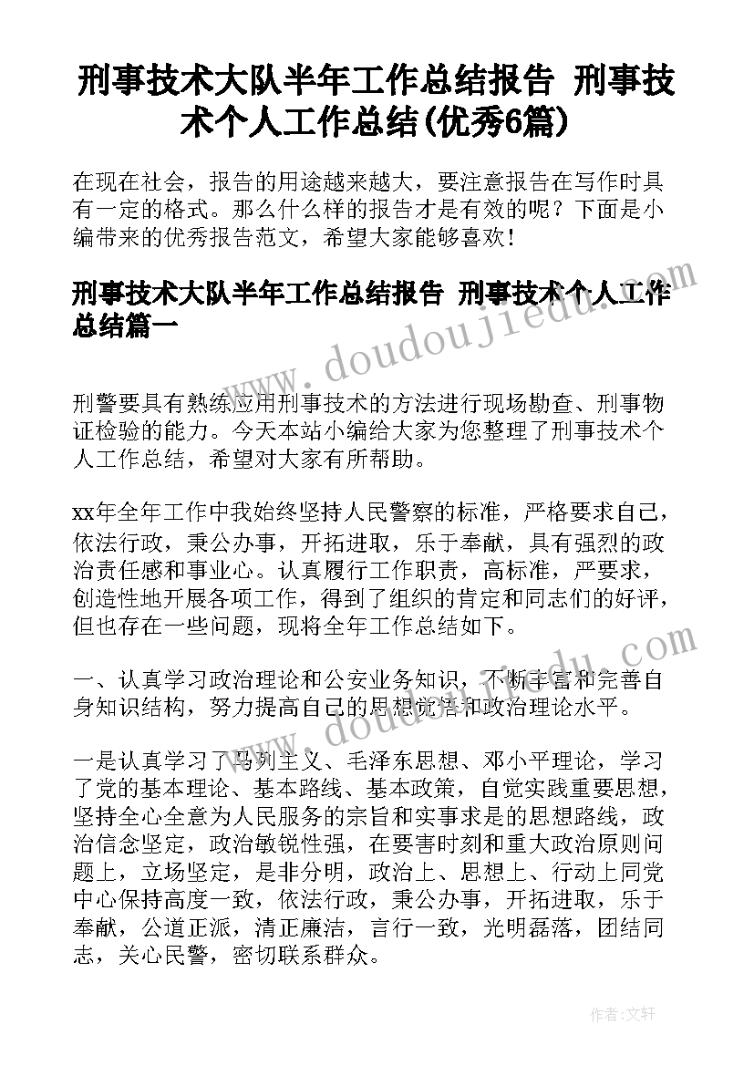 刑事技术大队半年工作总结报告 刑事技术个人工作总结(优秀6篇)