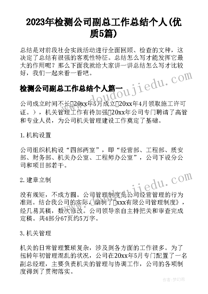 2023年检测公司副总工作总结个人(优质5篇)