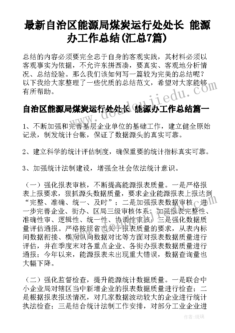 最新自治区能源局煤炭运行处处长 能源办工作总结(汇总7篇)