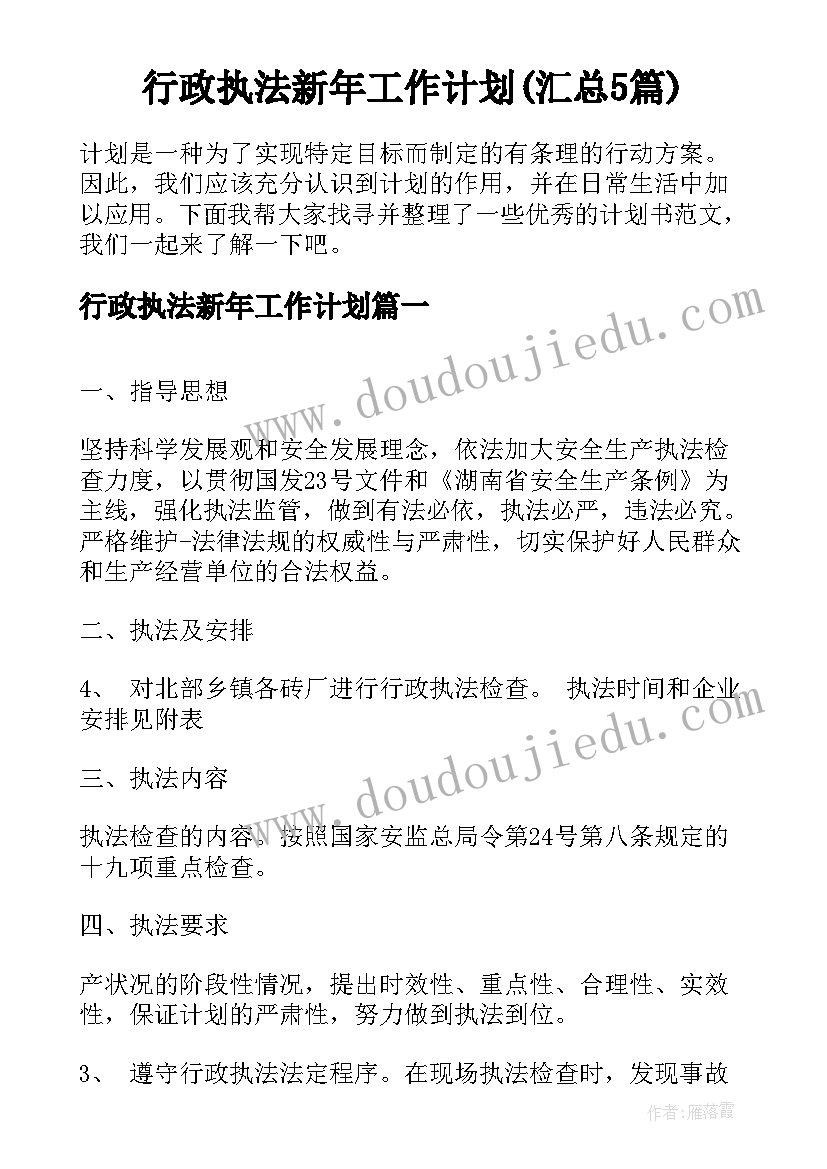 行政执法新年工作计划(汇总5篇)