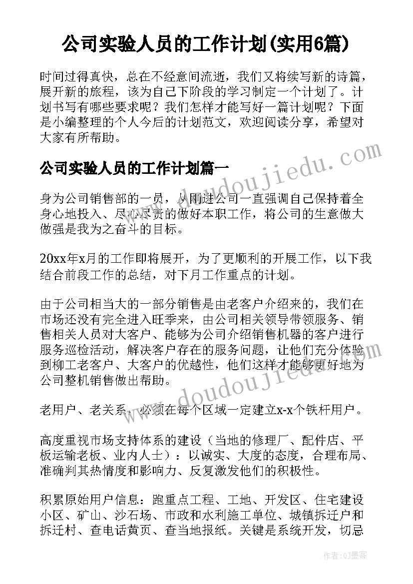 公司实验人员的工作计划(实用6篇)