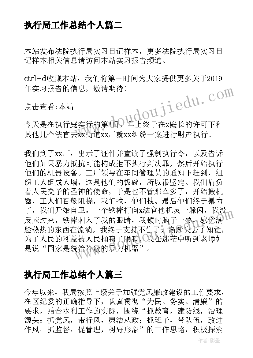 执行局工作总结个人(优秀6篇)