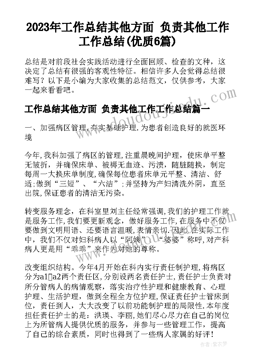 2023年工作总结其他方面 负责其他工作工作总结(优质6篇)