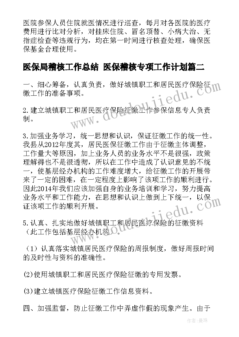 最新医保局稽核工作总结 医保稽核专项工作计划(汇总5篇)