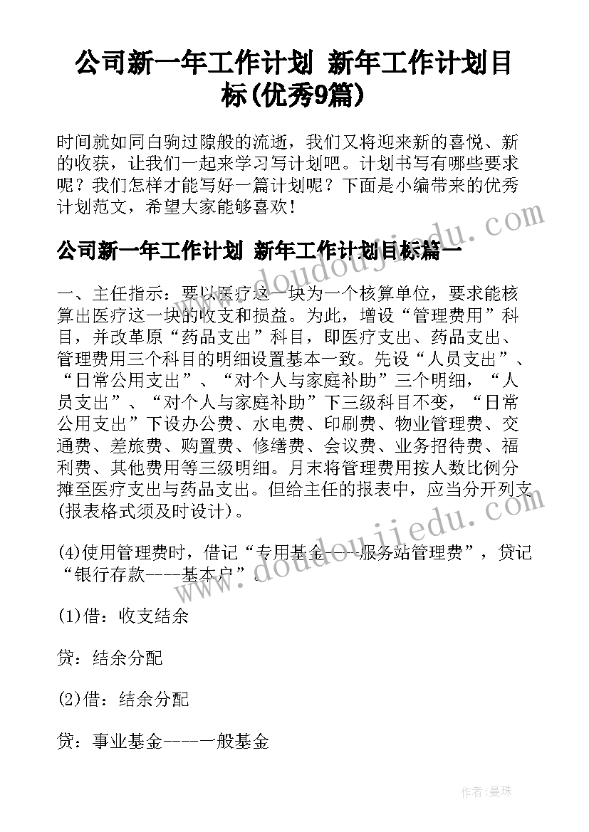 公司新一年工作计划 新年工作计划目标(优秀9篇)