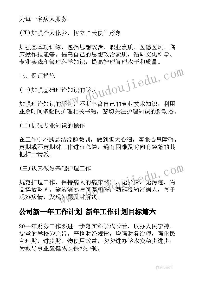 公司新一年工作计划 新年工作计划目标(优秀9篇)