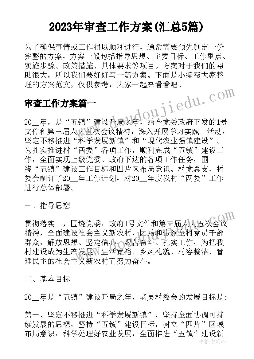 2023年审查工作方案(汇总5篇)