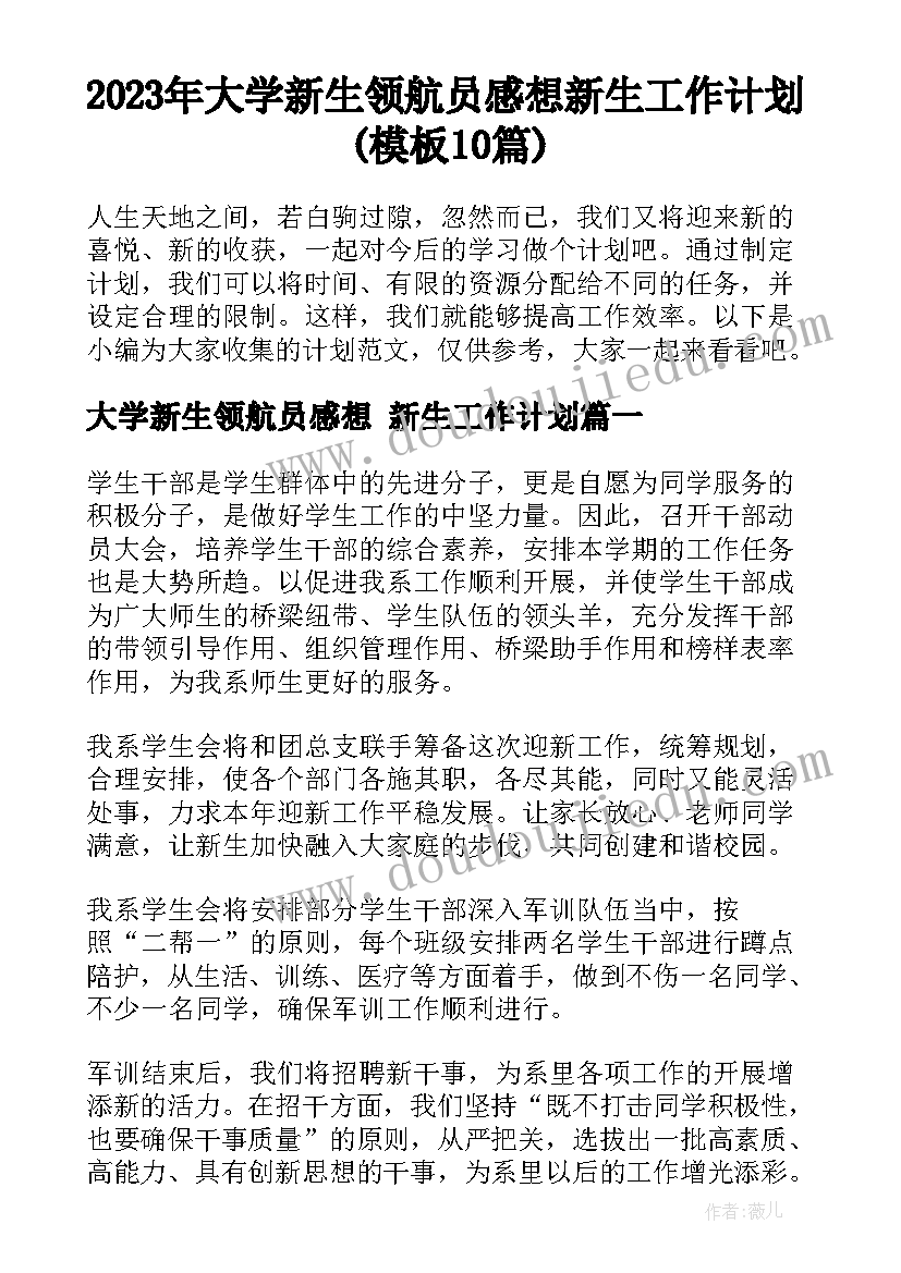 2023年大学新生领航员感想 新生工作计划(模板10篇)