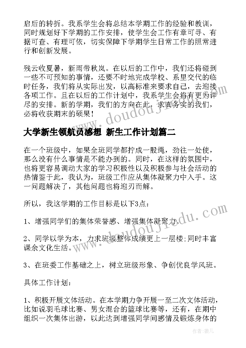 2023年大学新生领航员感想 新生工作计划(模板10篇)