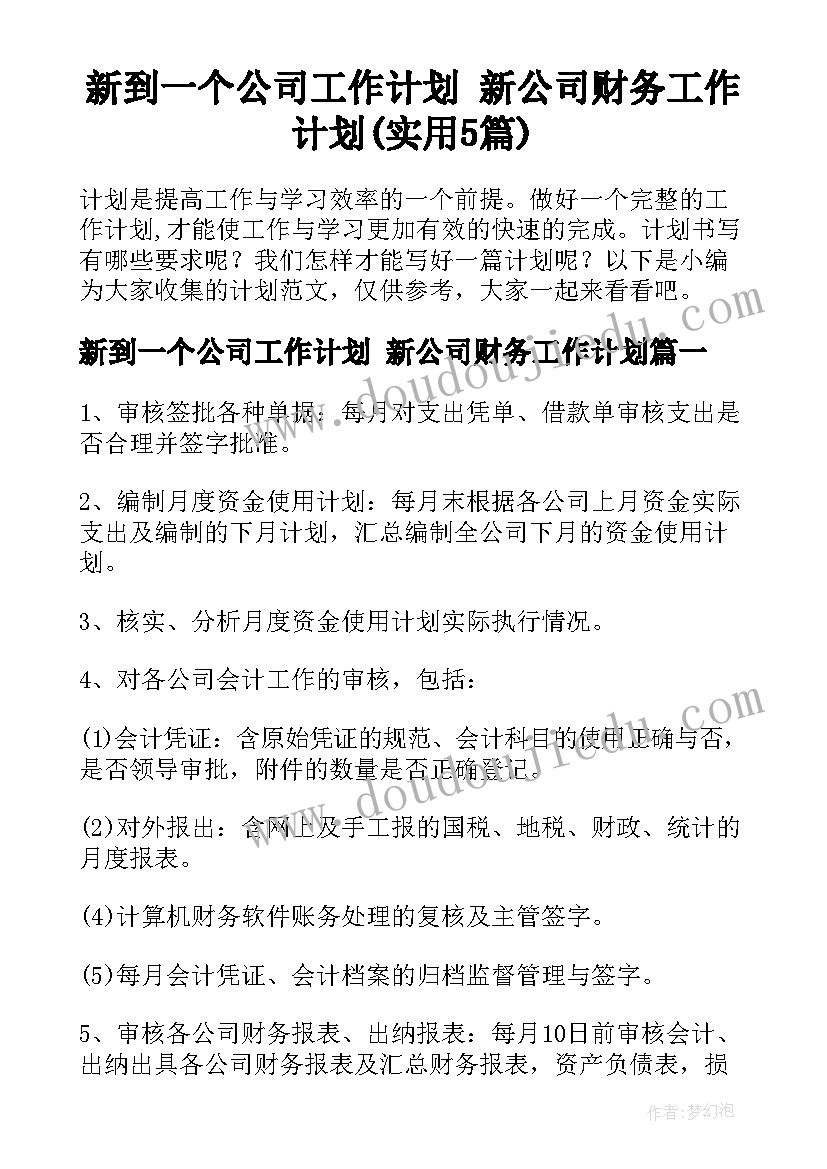 新到一个公司工作计划 新公司财务工作计划(实用5篇)