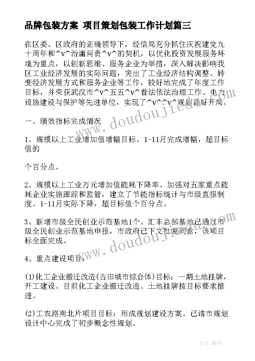 最新品牌包装方案 项目策划包装工作计划(大全5篇)