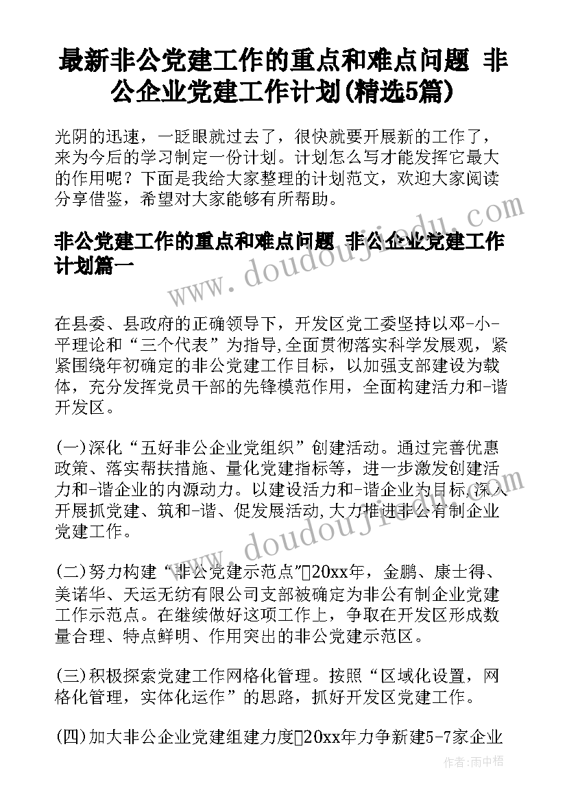 最新非公党建工作的重点和难点问题 非公企业党建工作计划(精选5篇)