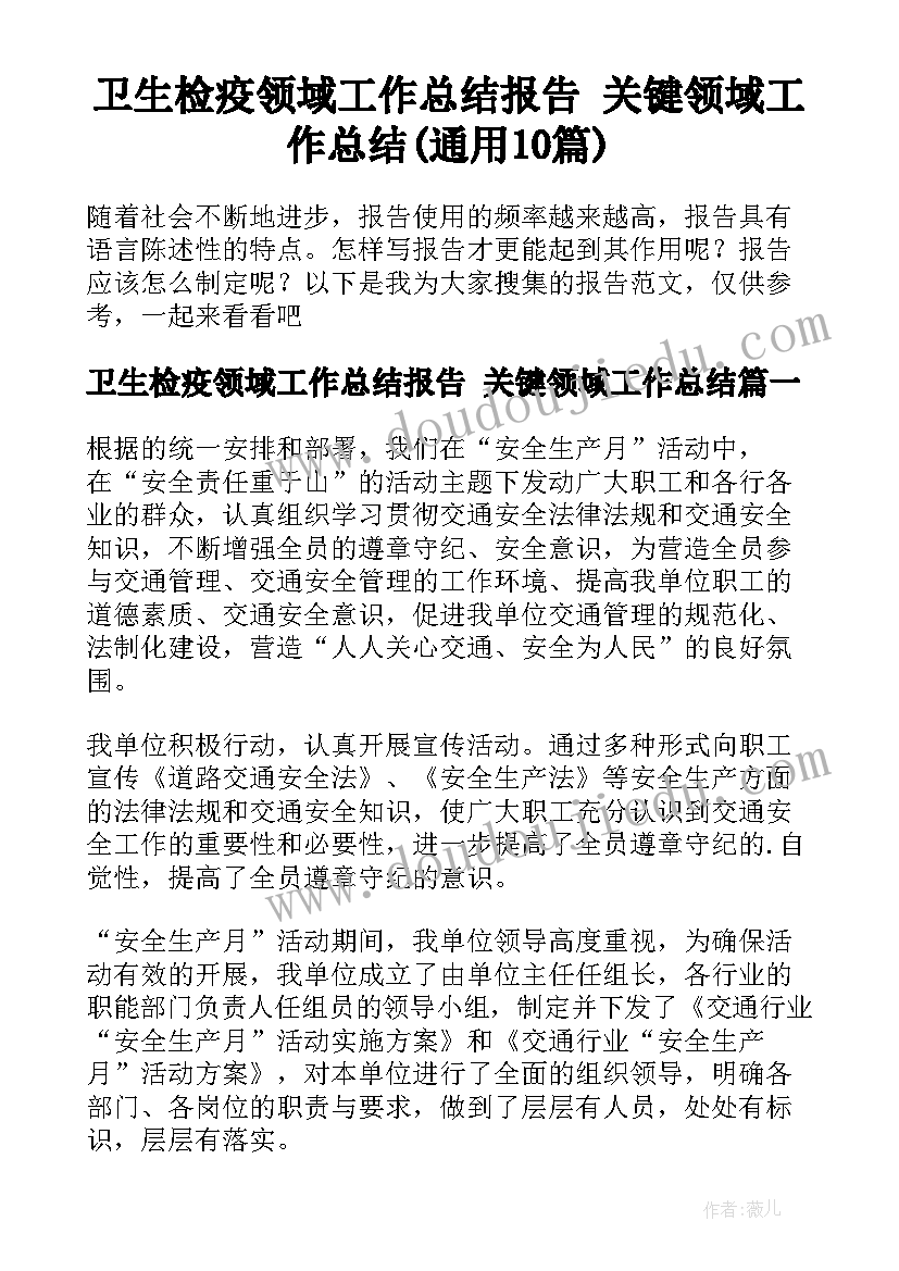 卫生检疫领域工作总结报告 关键领域工作总结(通用10篇)