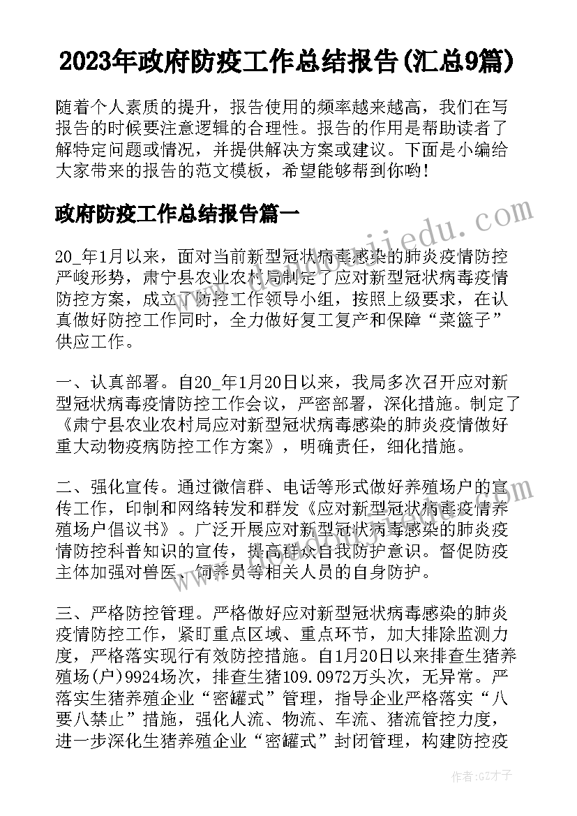 2023年政府防疫工作总结报告(汇总9篇)