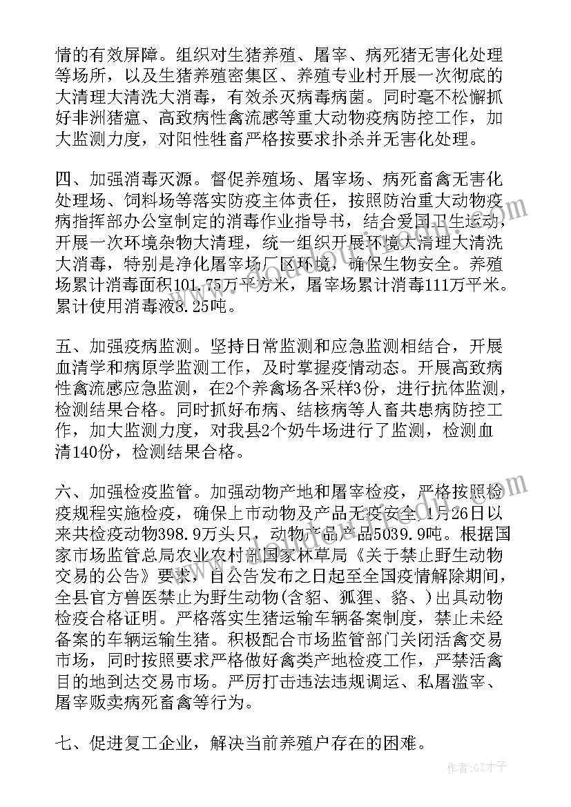 2023年政府防疫工作总结报告(汇总9篇)