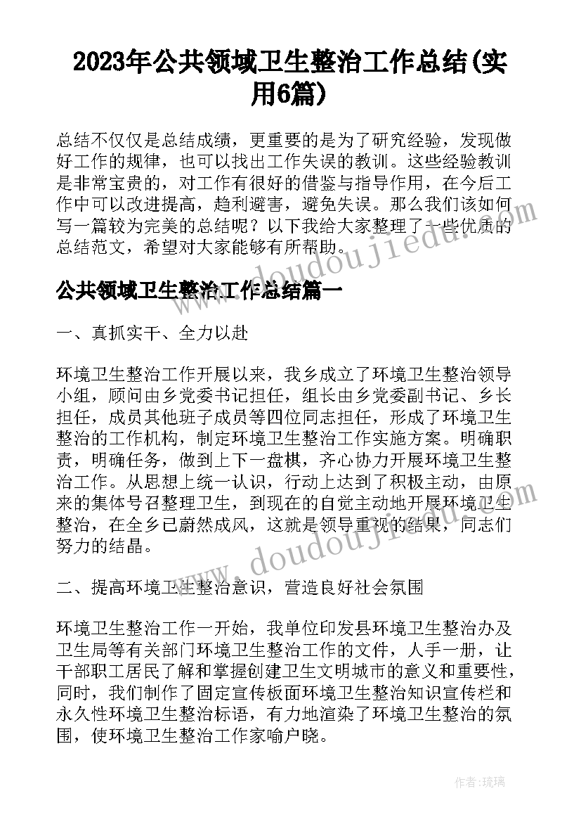 2023年公共领域卫生整治工作总结(实用6篇)