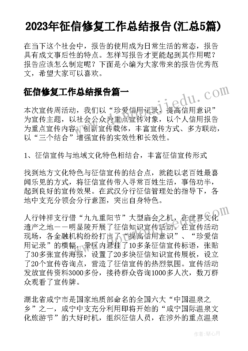 2023年征信修复工作总结报告(汇总5篇)