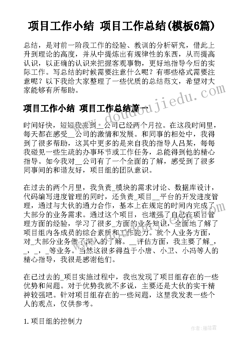 项目工作小结 项目工作总结(模板6篇)