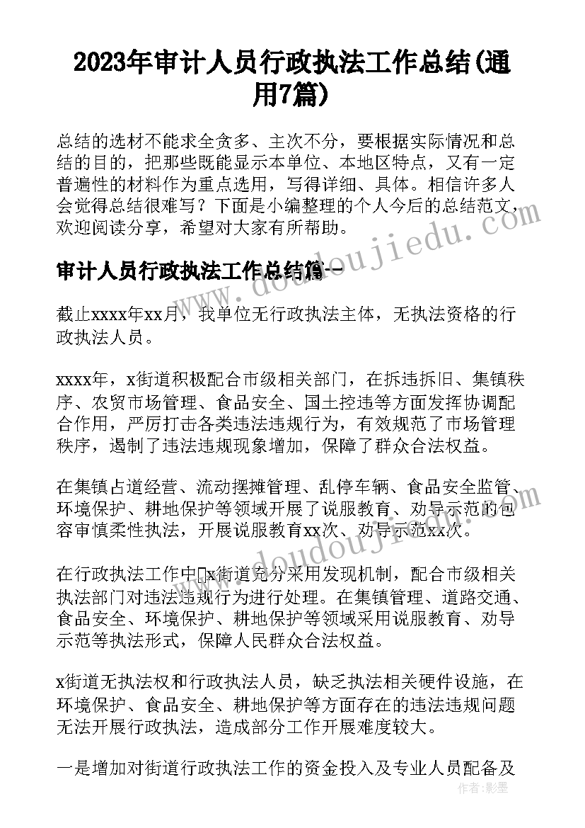 2023年审计人员行政执法工作总结(通用7篇)