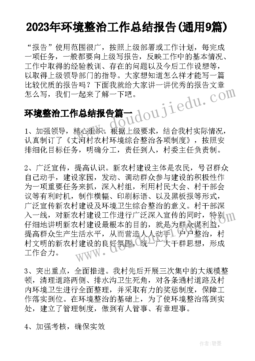 2023年环境整治工作总结报告(通用9篇)