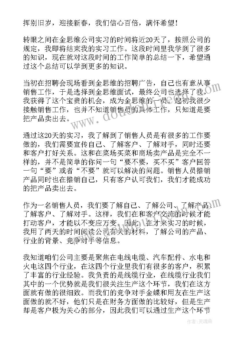 2023年体检销售工作总结 销售工作总结(优秀9篇)