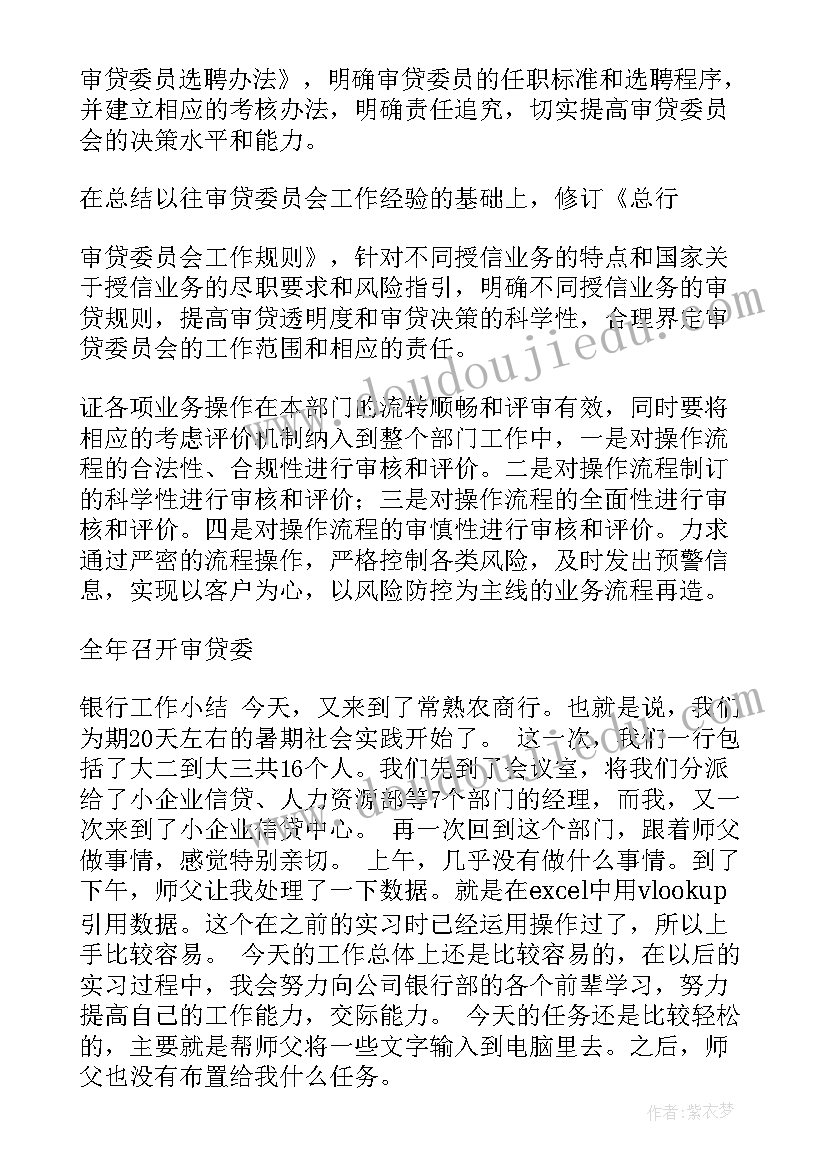 2023年审查调查工作总结发言(汇总5篇)