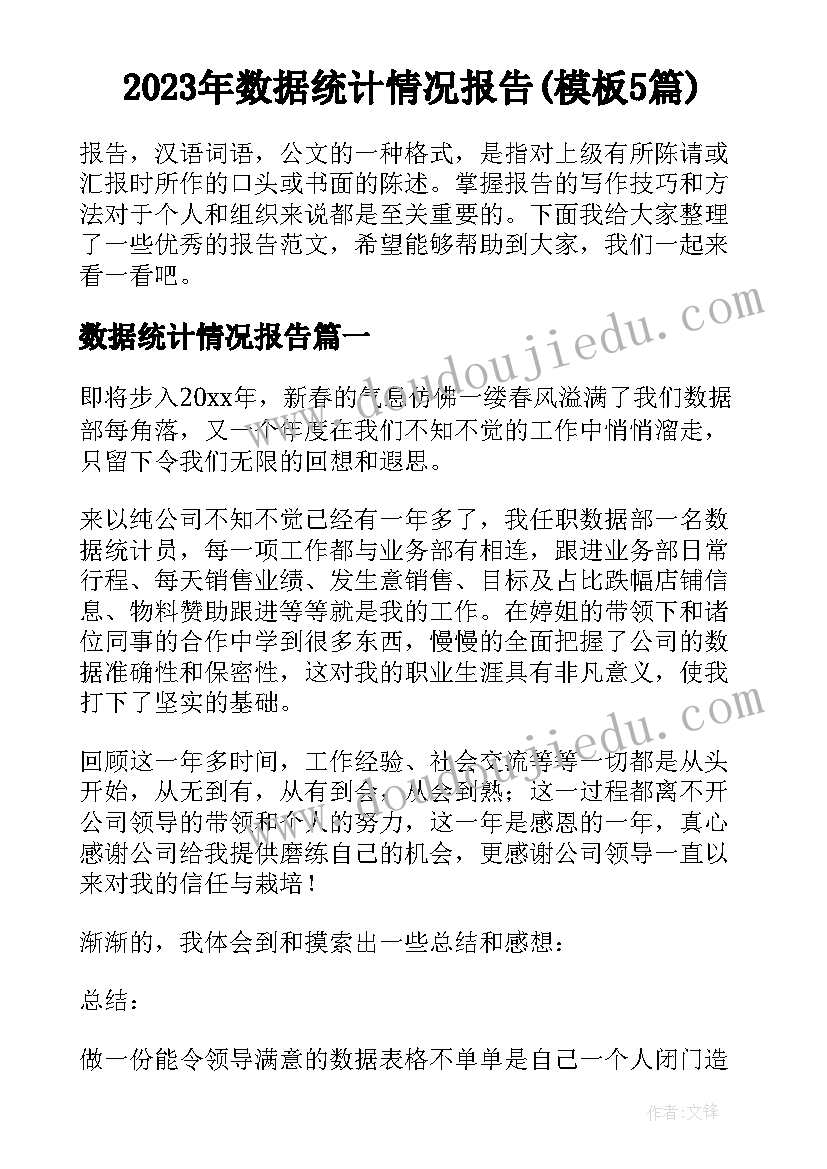 2023年数据统计情况报告(模板5篇)