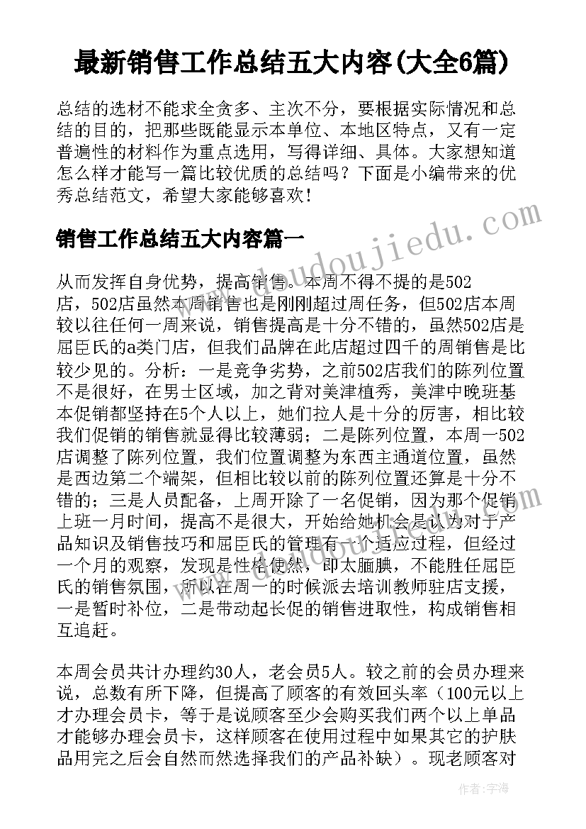 最新销售工作总结五大内容(大全6篇)