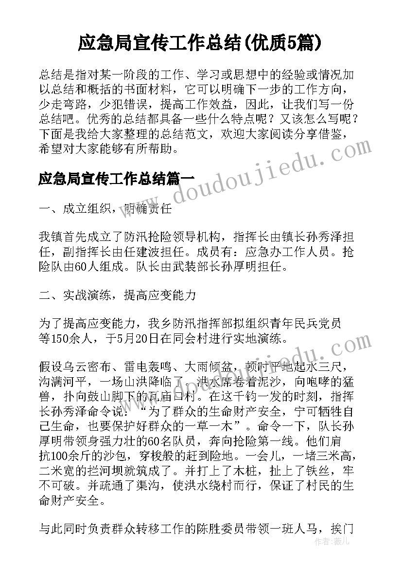 应急局宣传工作总结(优质5篇)