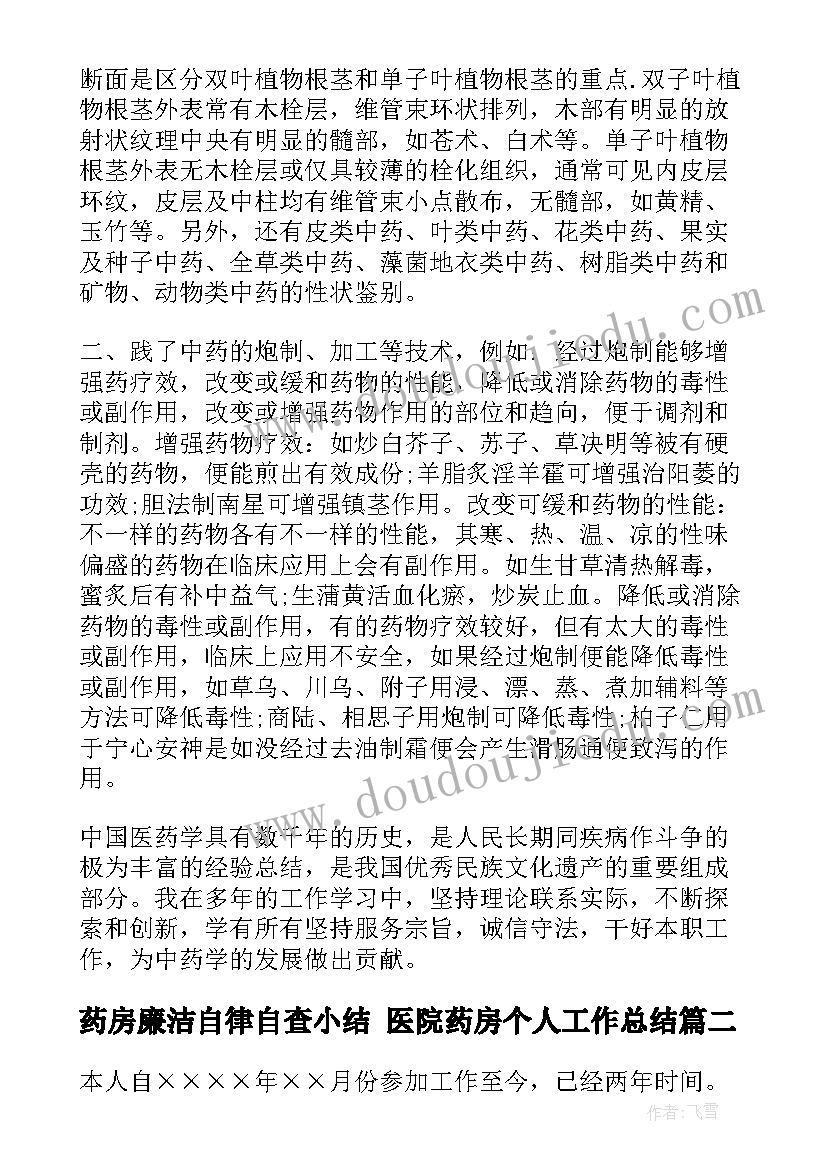 药房廉洁自律自查小结 医院药房个人工作总结(精选7篇)