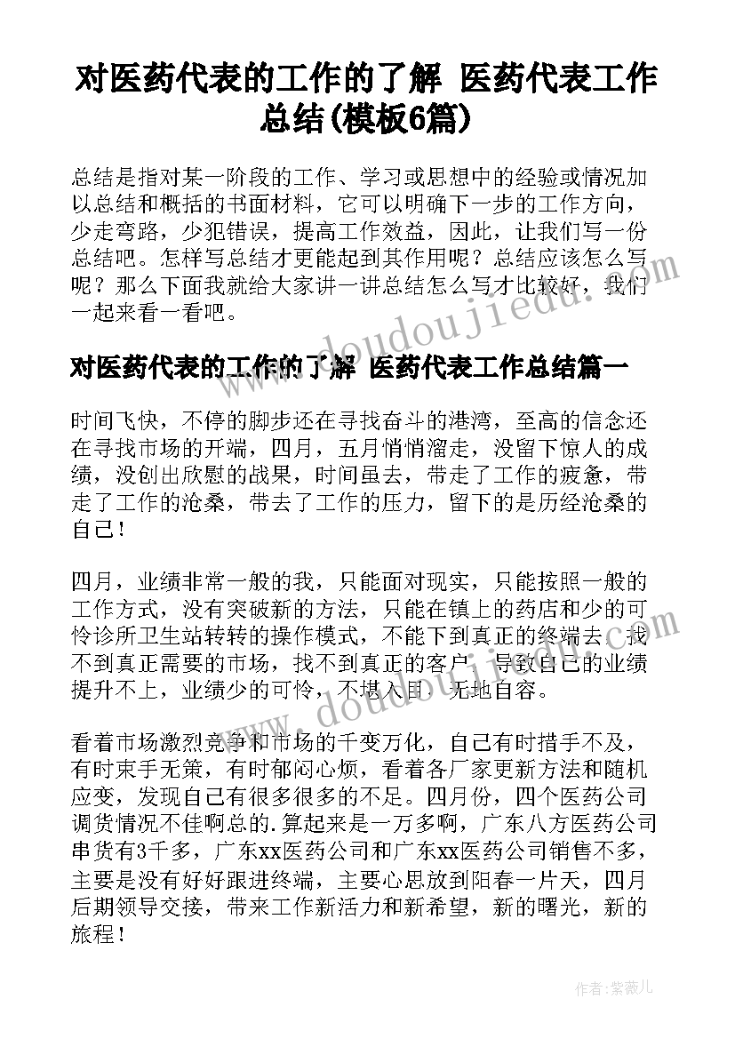 对医药代表的工作的了解 医药代表工作总结(模板6篇)