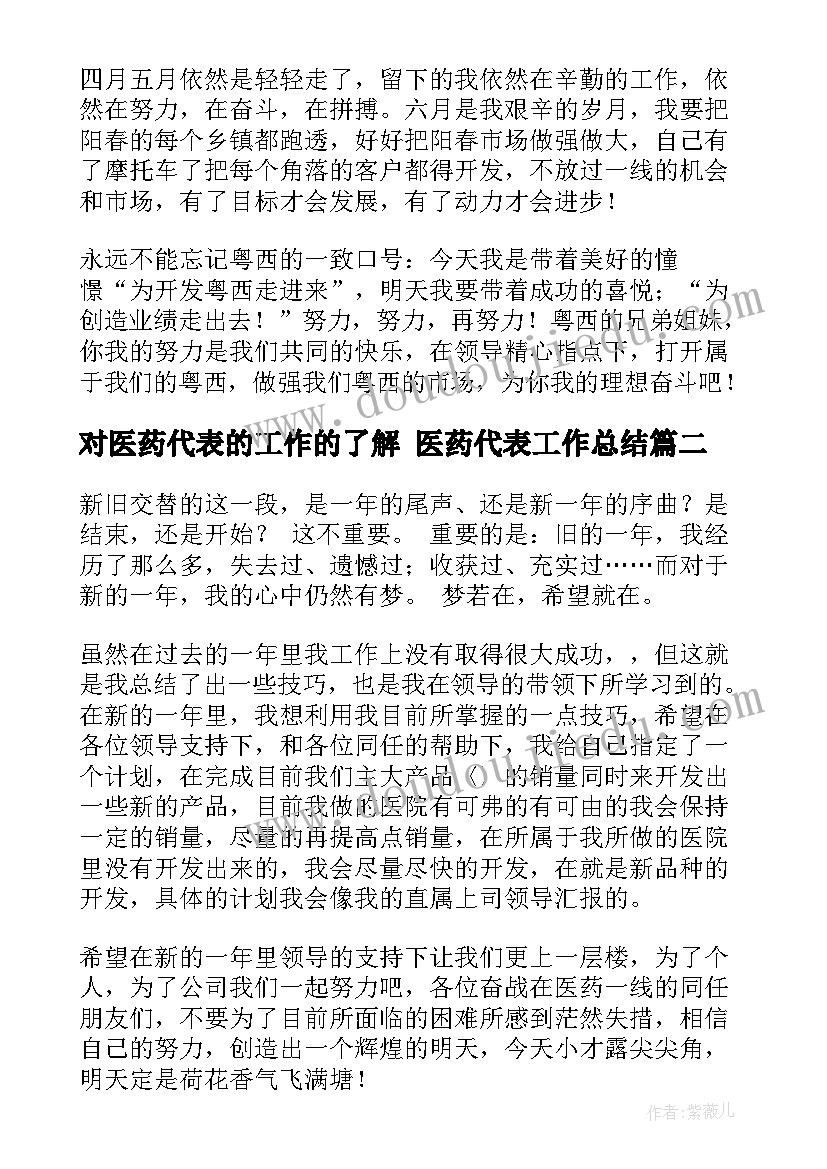 对医药代表的工作的了解 医药代表工作总结(模板6篇)