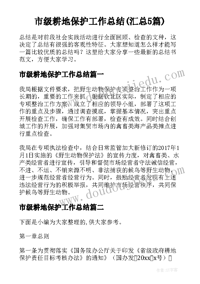 市级耕地保护工作总结(汇总5篇)